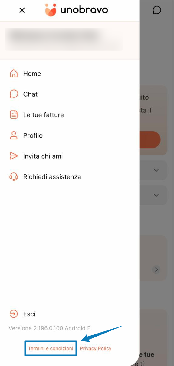 termini&condizioni_4.png